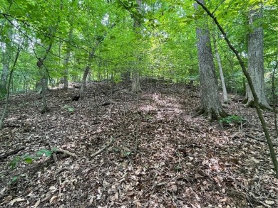 Don't miss this opportunity to build your dream home on a on The Trail At Chickasaw Pointe in South Carolina - for sale on GolfHomes.com, golf home, golf lot