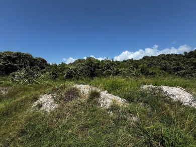 Unleash Your Vision: Four Wooded Lots Awaiting Your Dream in on Rockport Country Club in Texas - for sale on GolfHomes.com, golf home, golf lot