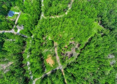 WATER ACCESS! Beautiful 1/2 acre lot in Rayburn Country! on Rayburn Country Club in Texas - for sale on GolfHomes.com, golf home, golf lot