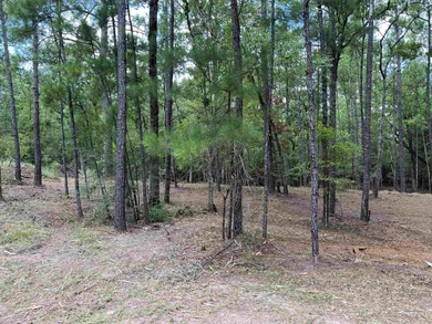 WATER ACCESS! Beautiful 1/2 acre lot in Rayburn Country! on Rayburn Country Club in Texas - for sale on GolfHomes.com, golf home, golf lot