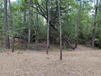 WATER ACCESS! Beautiful 1/2 acre lot in Rayburn Country! on Rayburn Country Club in Texas - for sale on GolfHomes.com, golf home, golf lot