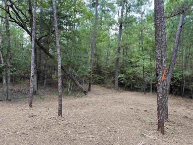 WATER ACCESS! Beautiful 1/2 acre lot in Rayburn Country! on Rayburn Country Club in Texas - for sale on GolfHomes.com, golf home, golf lot