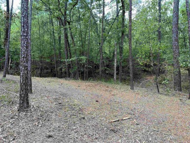 WATER ACCESS! Beautiful 1/2 acre lot in Rayburn Country! on Rayburn Country Club in Texas - for sale on GolfHomes.com, golf home, golf lot