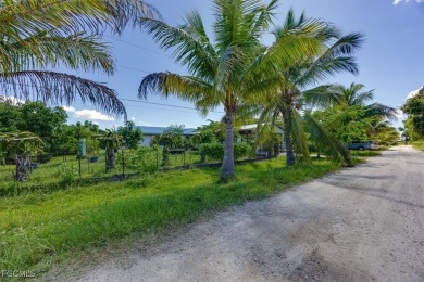 Florida Living at Its Finest - Island Life Meets Income on Alden Pines Golf Club in Florida - for sale on GolfHomes.com, golf home, golf lot