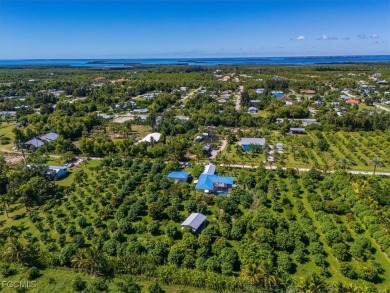 Florida Living at Its Finest - Island Life Meets Income on Alden Pines Golf Club in Florida - for sale on GolfHomes.com, golf home, golf lot