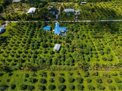 Florida Living at Its Finest - Island Life Meets Income on Alden Pines Golf Club in Florida - for sale on GolfHomes.com, golf home, golf lot