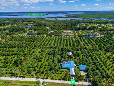 Florida Living at Its Finest - Island Life Meets Income on Alden Pines Golf Club in Florida - for sale on GolfHomes.com, golf home, golf lot