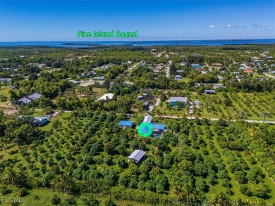 Florida Living at Its Finest - Island Life Meets Income on Alden Pines Golf Club in Florida - for sale on GolfHomes.com, golf home, golf lot