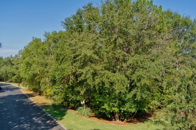 Welcome to the sought after established community of Cedar on The Golf Club At Cedar Creek in South Carolina - for sale on GolfHomes.com, golf home, golf lot