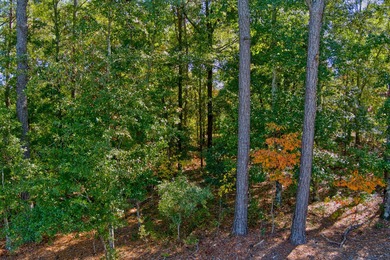 Welcome to the sought after established community of Cedar on The Golf Club At Cedar Creek in South Carolina - for sale on GolfHomes.com, golf home, golf lot