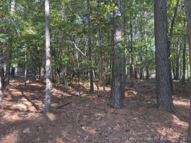 Build your dream home on this 1/2 acre lot in Carolina Lakes on Carolina Lakes Country Club in North Carolina - for sale on GolfHomes.com, golf home, golf lot