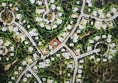 Beautiful, buildable lot, high and dry in deed restricted on Sugarmill Woods Golf and Country Club in Florida - for sale on GolfHomes.com, golf home, golf lot