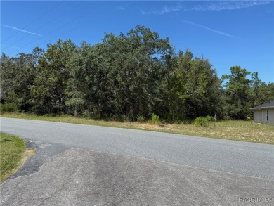 Beautiful, buildable lot, high and dry in deed restricted on Sugarmill Woods Golf and Country Club in Florida - for sale on GolfHomes.com, golf home, golf lot