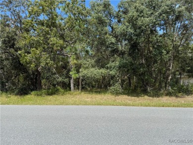 Beautiful, buildable lot, high and dry in deed restricted on Sugarmill Woods Golf and Country Club in Florida - for sale on GolfHomes.com, golf home, golf lot