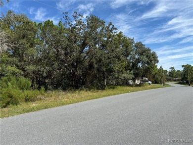 Beautiful, buildable lot, high and dry in deed restricted on Sugarmill Woods Golf and Country Club in Florida - for sale on GolfHomes.com, golf home, golf lot