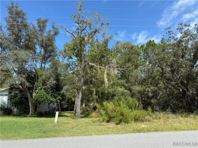 Beautiful, buildable lot, high and dry in deed restricted on Sugarmill Woods Golf and Country Club in Florida - for sale on GolfHomes.com, golf home, golf lot