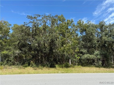 Beautiful, buildable lot, high and dry in deed restricted on Sugarmill Woods Golf and Country Club in Florida - for sale on GolfHomes.com, golf home, golf lot
