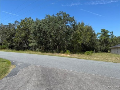 Beautiful, buildable lot, high and dry in deed restricted on Sugarmill Woods Golf and Country Club in Florida - for sale on GolfHomes.com, golf home, golf lot