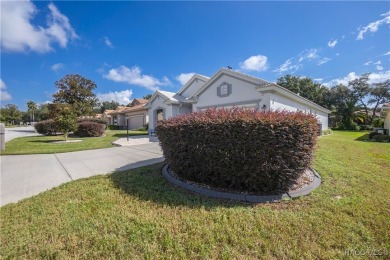 If a golf cart lifestyle and a splash of luxury sound like your on Skyview At Terra Vista Golf and Country Club in Florida - for sale on GolfHomes.com, golf home, golf lot