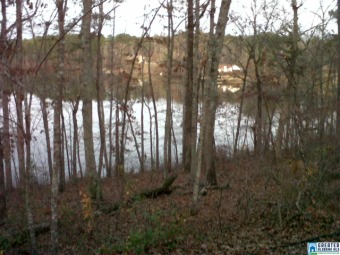 GREAT LOT TO BUILD YOUR DREAM HOME OVERLOOKING THE LAKE. GREAT on Lakeview Country Club in Alabama - for sale on GolfHomes.com, golf home, golf lot