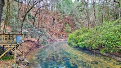 Nature abounds at this furnished cabin nestled on the banks of on White Path Golf Club in Georgia - for sale on GolfHomes.com, golf home, golf lot