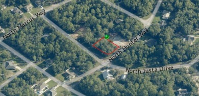 Buildable corner lot in Citrus Springs offering an excellent on Pine Ridge Community Golf and Country Club in Florida - for sale on GolfHomes.com, golf home, golf lot