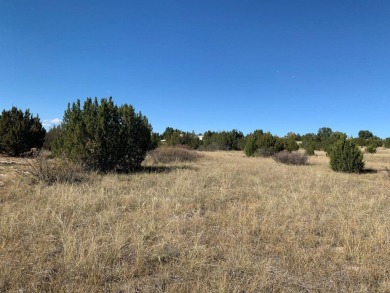 This affordable 1.07 acre lot, located in Colorado City, is on Hollydot Golf Course in Colorado - for sale on GolfHomes.com, golf home, golf lot