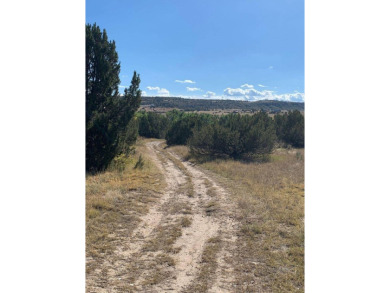 This affordable 1.07 acre lot, located in Colorado City, is on Hollydot Golf Course in Colorado - for sale on GolfHomes.com, golf home, golf lot