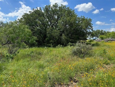 Lot 1018 on Lake Breeze Dr. in Kings Point Cove Unit 3 is a .26 on Hideout Golf Club and Resort  in Texas - for sale on GolfHomes.com, golf home, golf lot