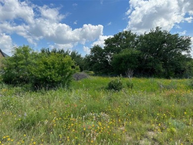 Lot 1018 on Lake Breeze Dr. in Kings Point Cove Unit 3 is a .26 on Hideout Golf Club and Resort  in Texas - for sale on GolfHomes.com, golf home, golf lot
