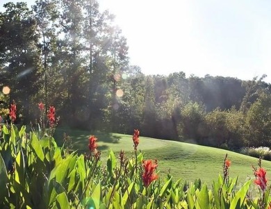 Lot 851 offers a stunning location, backing directly onto the on The Trail At Chickasaw Pointe in South Carolina - for sale on GolfHomes.com, golf home, golf lot