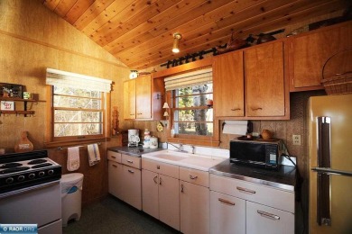 Mid Century Modern Lake Cottage! Private Golf Course Out Front on Eshquaguma Country Club in Minnesota - for sale on GolfHomes.com, golf home, golf lot