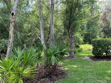 Rare Find! Enjoy tranquil, private conservation views and local on Lansbrook Golf Club in Florida - for sale on GolfHomes.com, golf home, golf lot