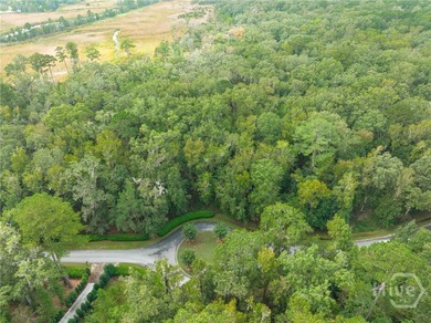 Embrace the pinnacle of Lowcountry luxury at The Ford Field & on The Ford Field and River Club  in Georgia - for sale on GolfHomes.com, golf home, golf lot