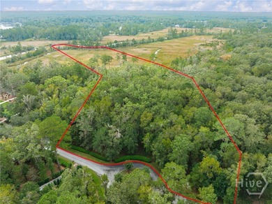 Embrace the pinnacle of Lowcountry luxury at The Ford Field & on The Ford Field and River Club  in Georgia - for sale on GolfHomes.com, golf home, golf lot