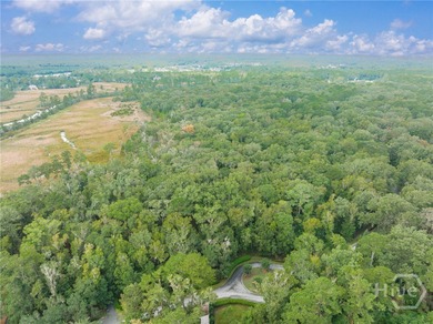 Embrace the pinnacle of Lowcountry luxury at The Ford Field & on The Ford Field and River Club  in Georgia - for sale on GolfHomes.com, golf home, golf lot