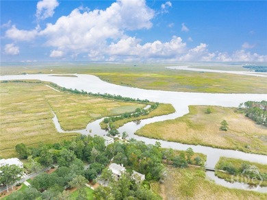 Embrace the pinnacle of Lowcountry luxury at The Ford Field & on The Ford Field and River Club  in Georgia - for sale on GolfHomes.com, golf home, golf lot