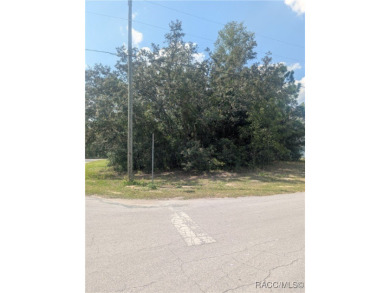 Prime corner lot in Citrus Springs! This 0.27-acre homesite on Citrus Springs Country Club in Florida - for sale on GolfHomes.com, golf home, golf lot