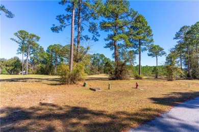 Beautiful lot sits nestled on the Sapelo Hammock golf course in on Sapelo Hammock Golf Club in Georgia - for sale on GolfHomes.com, golf home, golf lot