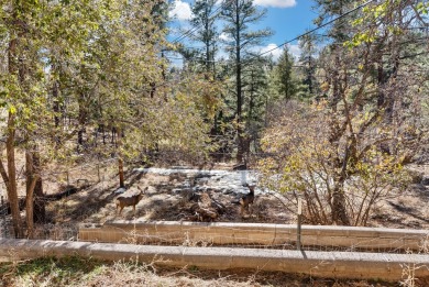 Come snuggle up in this cozy, single level, 3 bedroom 2 bath on Los Alamos County Golf Course in New Mexico - for sale on GolfHomes.com, golf home, golf lot