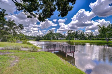 A RARE FIND in the highly sought after AVISTA community of on Carrollwood Country Club in Florida - for sale on GolfHomes.com, golf home, golf lot