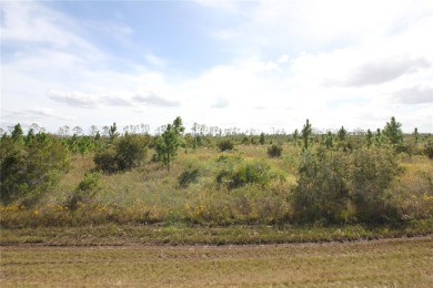 Here is your opportunity to build your dream home on this on Indian Lake Estates Golf and Country Club in Florida - for sale on GolfHomes.com, golf home, golf lot