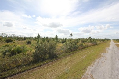 Here is your opportunity to build your dream home on this on Indian Lake Estates Golf and Country Club in Florida - for sale on GolfHomes.com, golf home, golf lot