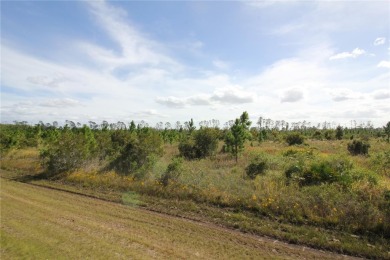 Here is your opportunity to build your dream home on this on Indian Lake Estates Golf and Country Club in Florida - for sale on GolfHomes.com, golf home, golf lot