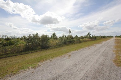 Here is your opportunity to build your dream home on this on Indian Lake Estates Golf and Country Club in Florida - for sale on GolfHomes.com, golf home, golf lot
