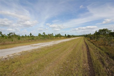 Here is your opportunity to build your dream home on this on Indian Lake Estates Golf and Country Club in Florida - for sale on GolfHomes.com, golf home, golf lot