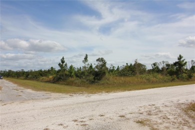 Here is your opportunity to build your dream home on this on Indian Lake Estates Golf and Country Club in Florida - for sale on GolfHomes.com, golf home, golf lot