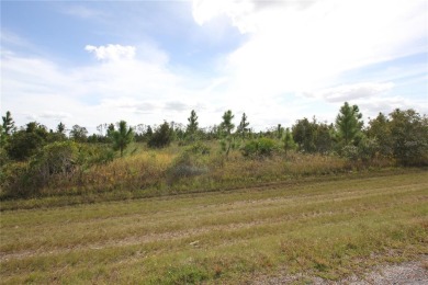 Here is your opportunity to build your dream home on this on Indian Lake Estates Golf and Country Club in Florida - for sale on GolfHomes.com, golf home, golf lot
