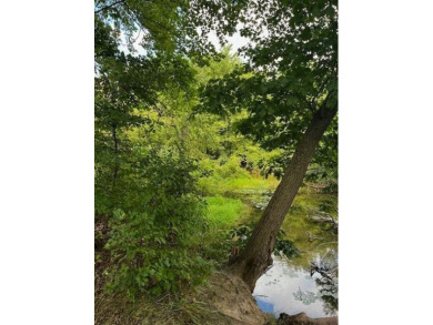 Clear Creek runs through the property, creating a unique setting on The Links of Bowen Lake in Michigan - for sale on GolfHomes.com, golf home, golf lot