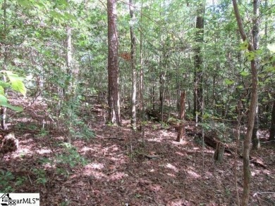 Large lot right on the 10th fairway at The Rock at Jocassee Golf on The Rock At Jocassee in South Carolina - for sale on GolfHomes.com, golf home, golf lot